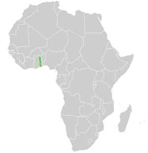 Togo Afrika Lage